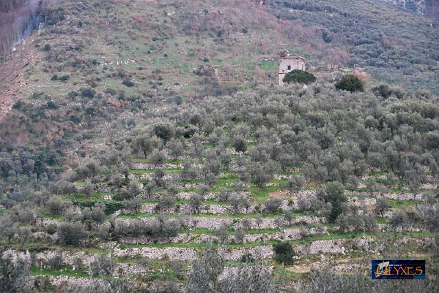 casa torre.JPG